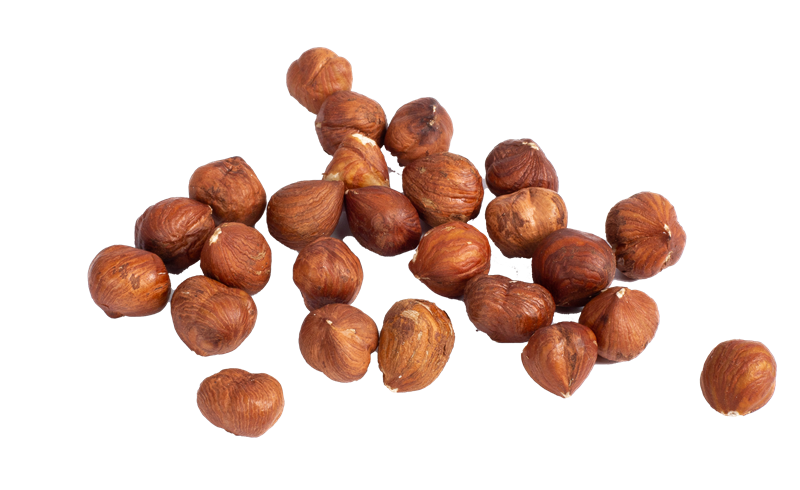 NATURAL WHOLE SHELLED HAZELNUT FROM TURKEY 13-15 mm - 10 kg