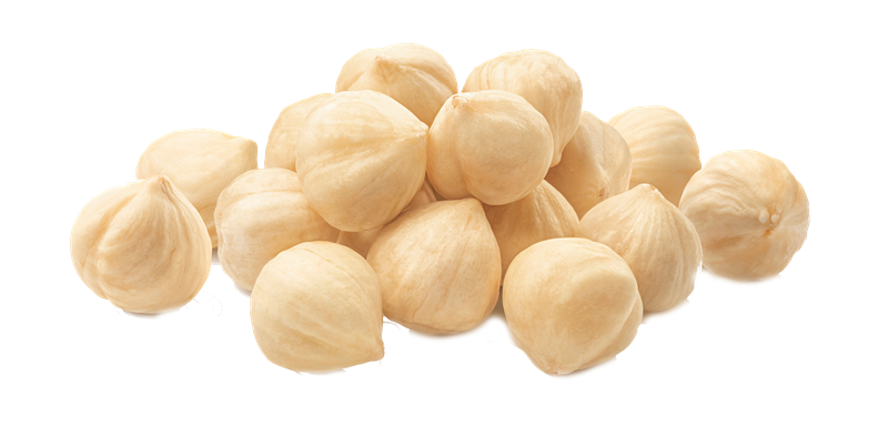WHOLE WHITE HAZELNUT FROM TURKEY 13-15 mm - 10kg