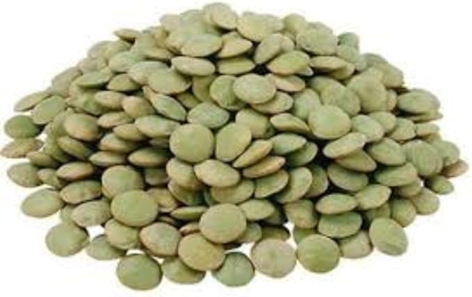 LENTILLES VERTES BIO — 25 LB (11.34 KG)
