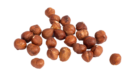 NATURAL WHOLE SHELLED HAZELNUT FROM TURKEY 13-15 mm - 10 kg