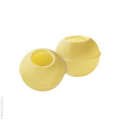 WHITE TRUFFLE SHELLS - BARRY CALLEBAUT - 504 units