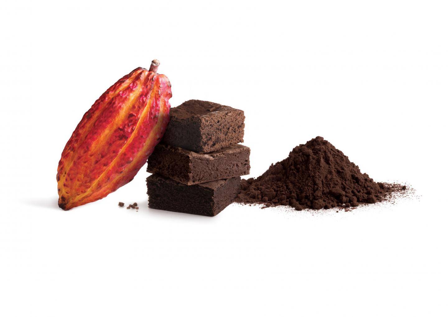 POUDRE DE CACAO 10/12 % WINDMILL BENSDORP - BARRY CALLEBAUT - 22.68 kg