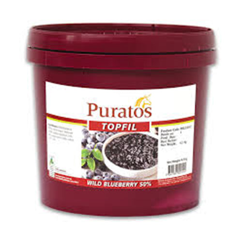 FRUITFAIL STRAWBERY FILLING IN A PAIL 9 kg