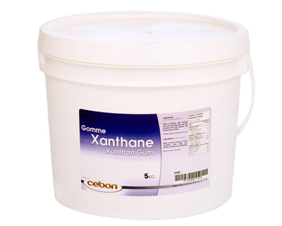 POWDER XANTHANE GUM - 5 kg