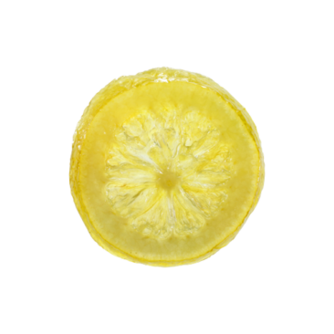 RONDELLES DE CITRONS ÉGOUTTÉES  2.5 KG