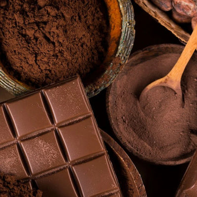 POUDRE DE CACAO BIOLOGIQUE 10/12 TRAITÉE AUX ALCALIS – BENSDORP – 22.68 kg