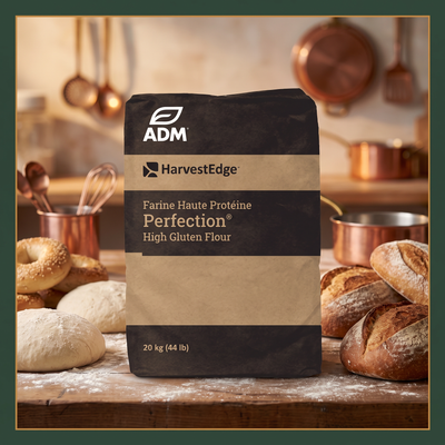 High Protein High Gluten Flour 20kg — lifestyle card